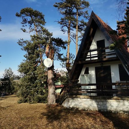 Appartement Vila Jovanovic à Zlatibor Extérieur photo