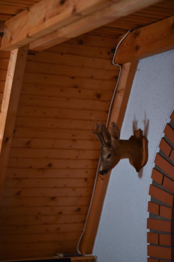 Appartement Vila Jovanovic à Zlatibor Extérieur photo